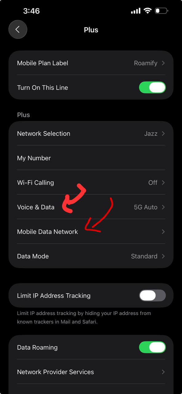 iPhone eSIM settings - Turn on line and data roaming